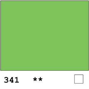 WN Calligraphy ink 30ml 341 Leaf green