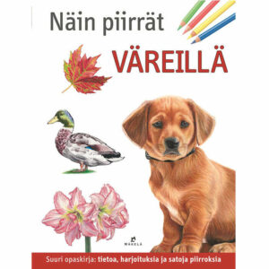 Näin piirrät väreillä -opaskirja