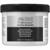 WN Professional Acrylic Modelling paste
