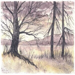 Derwent Graphitint Watercolor paint 12 nappia