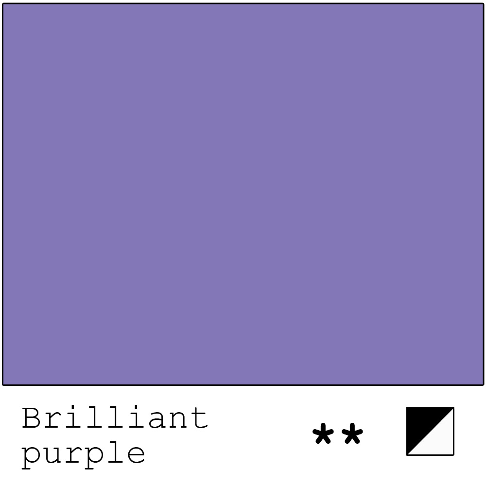 New foundations Brilliant Purple